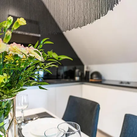 Zakopianskie Tarasy Vip * ザコパネ